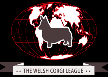 corgi rescue organizations