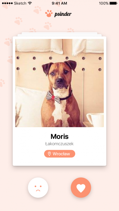 tinder dog picture