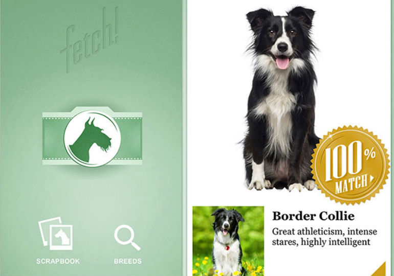 dog breed finder app