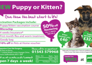 how much to microchip a dog at petsmart