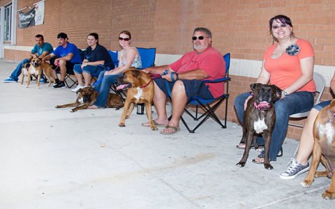 boxer rescue new mexico