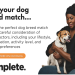 dog breed compatibility test