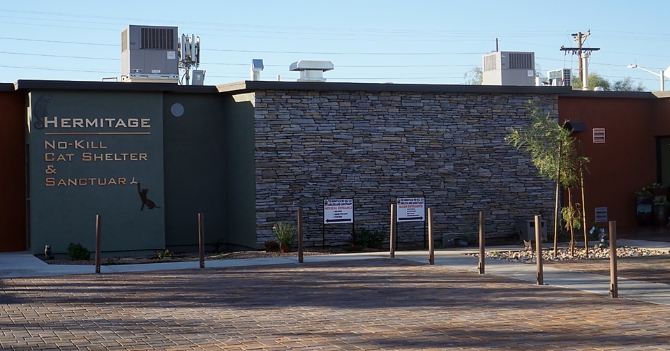 no-kill cat rescue near me