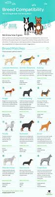 dog breed compatibility test