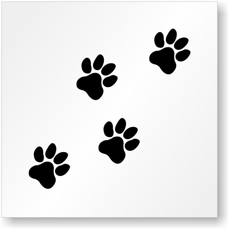 picture of dog paw print