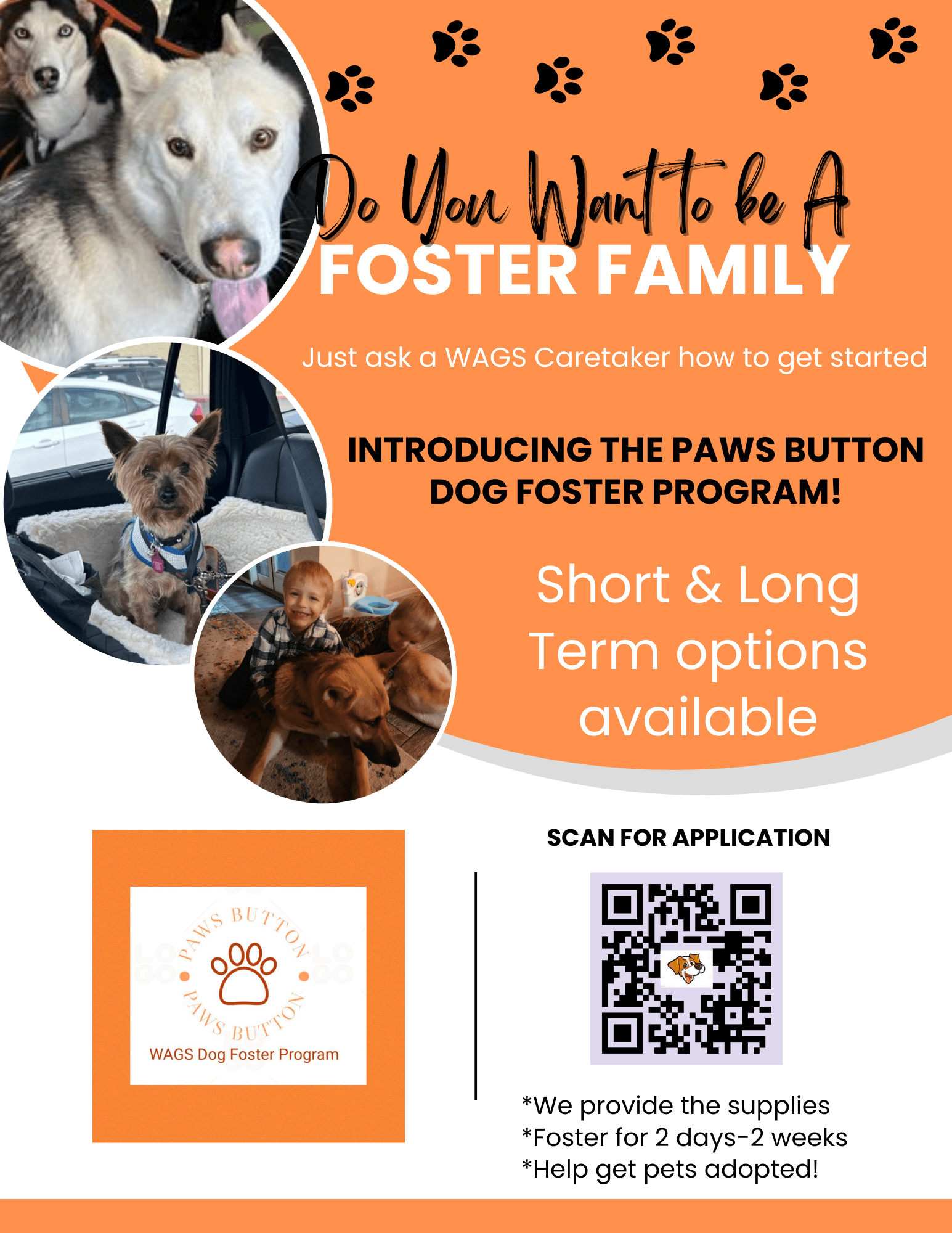foster dog app