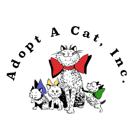 adopt a cat inc
