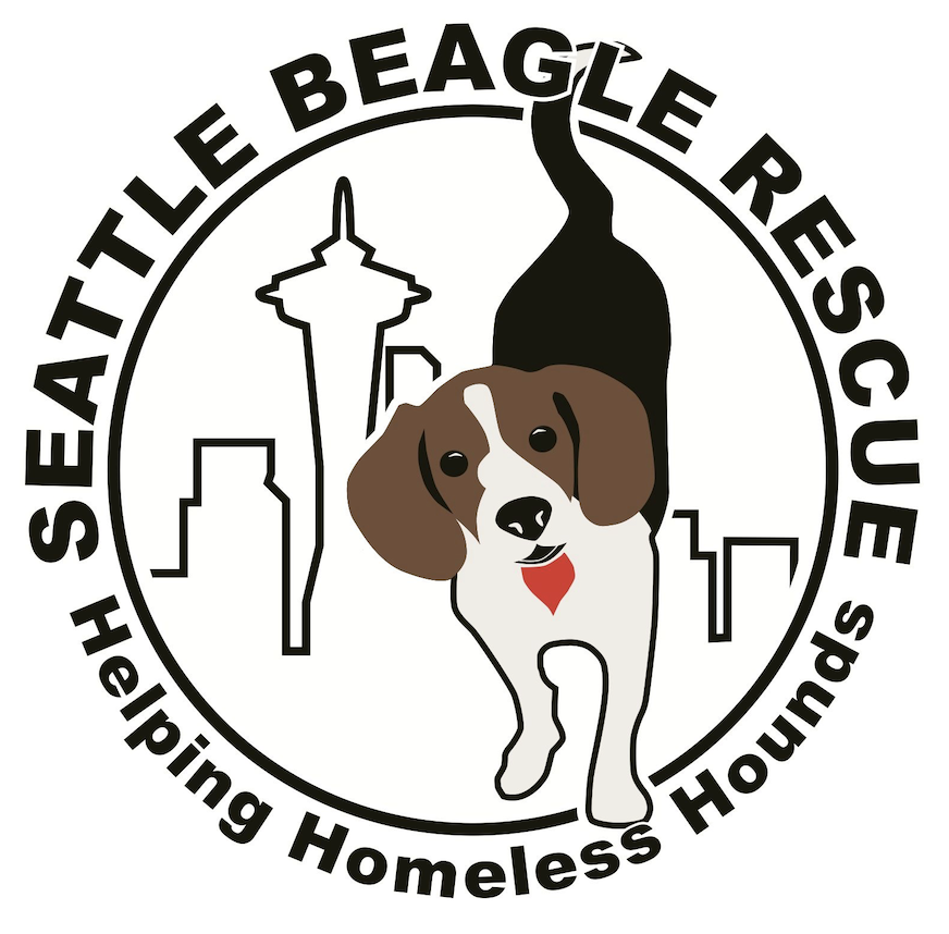 beagle rescue sc