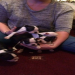 boston terrier puppies texas