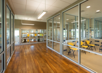 paws chicago adoption center