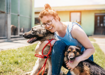 places to rehome a dog