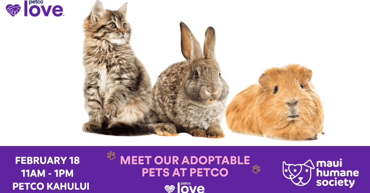 petco maui hours