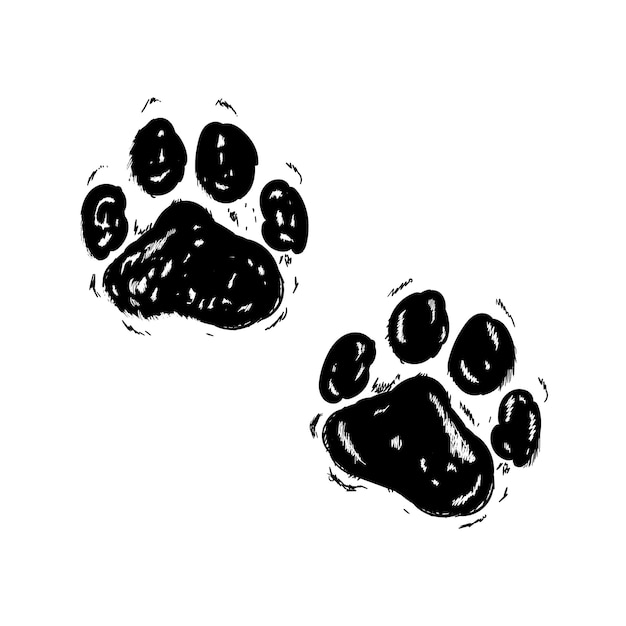 cat paw doodle