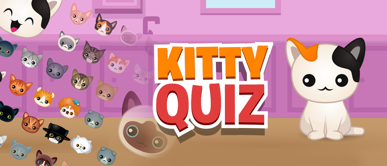 kitty quiz download