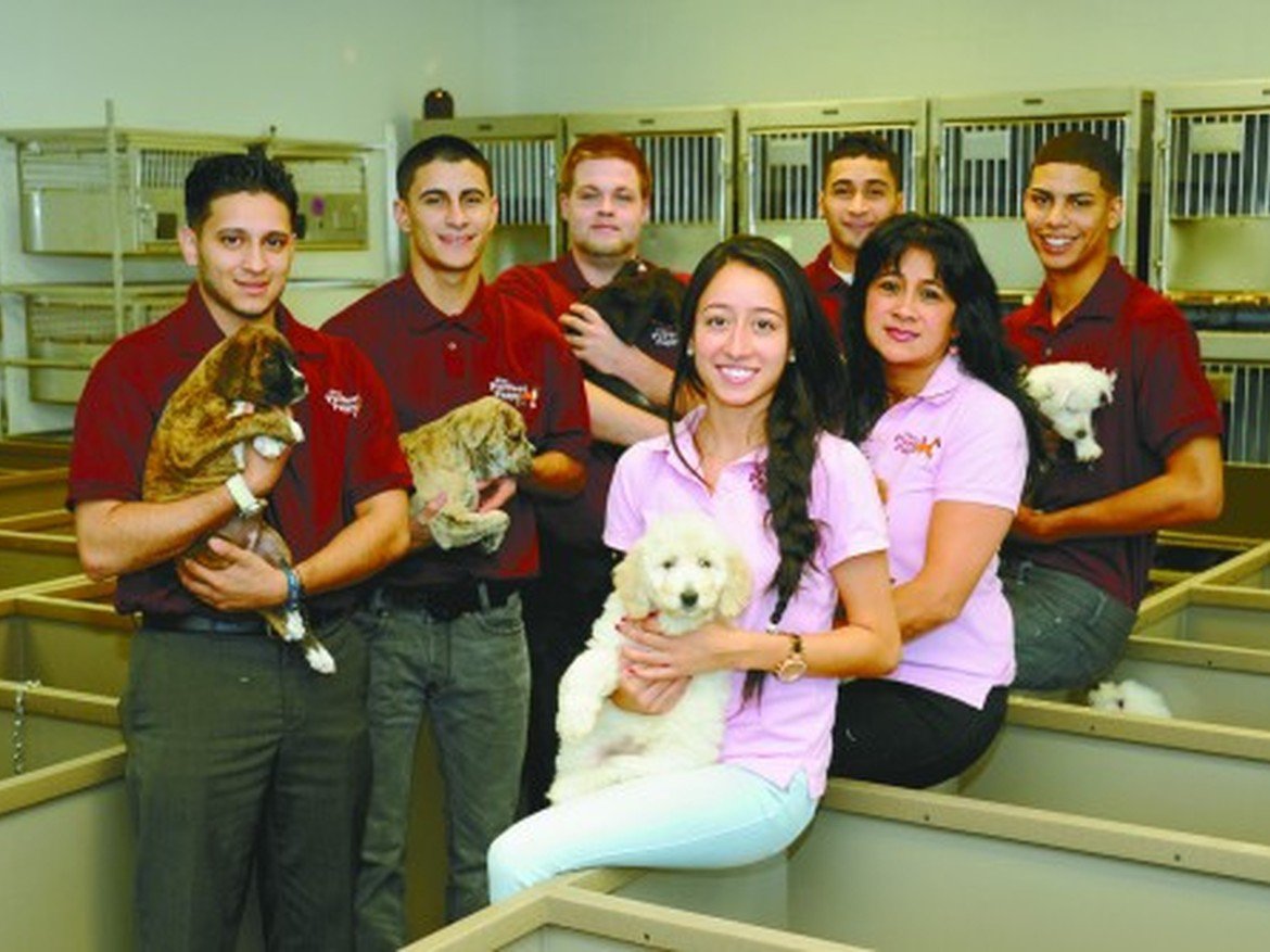 the perfect puppy rhode island