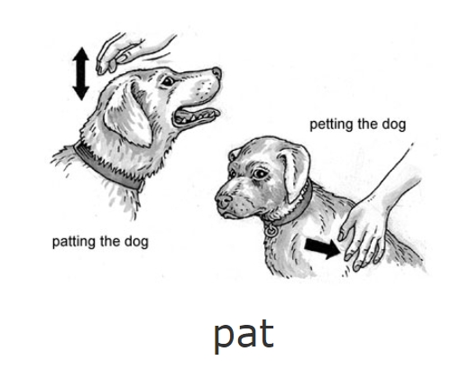 pat pet