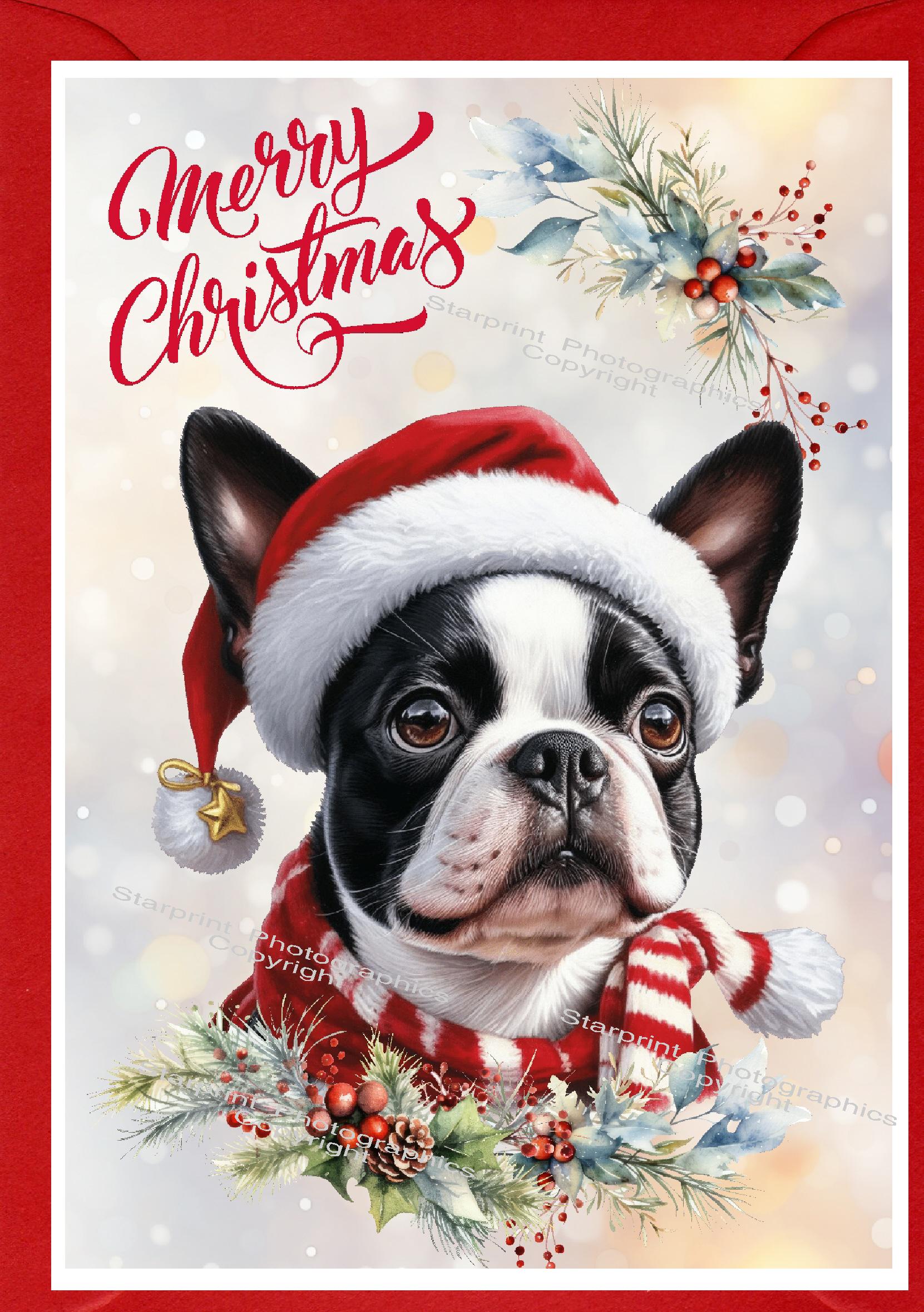 boston terrier christmas