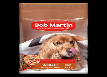 best dog food for boston terriers