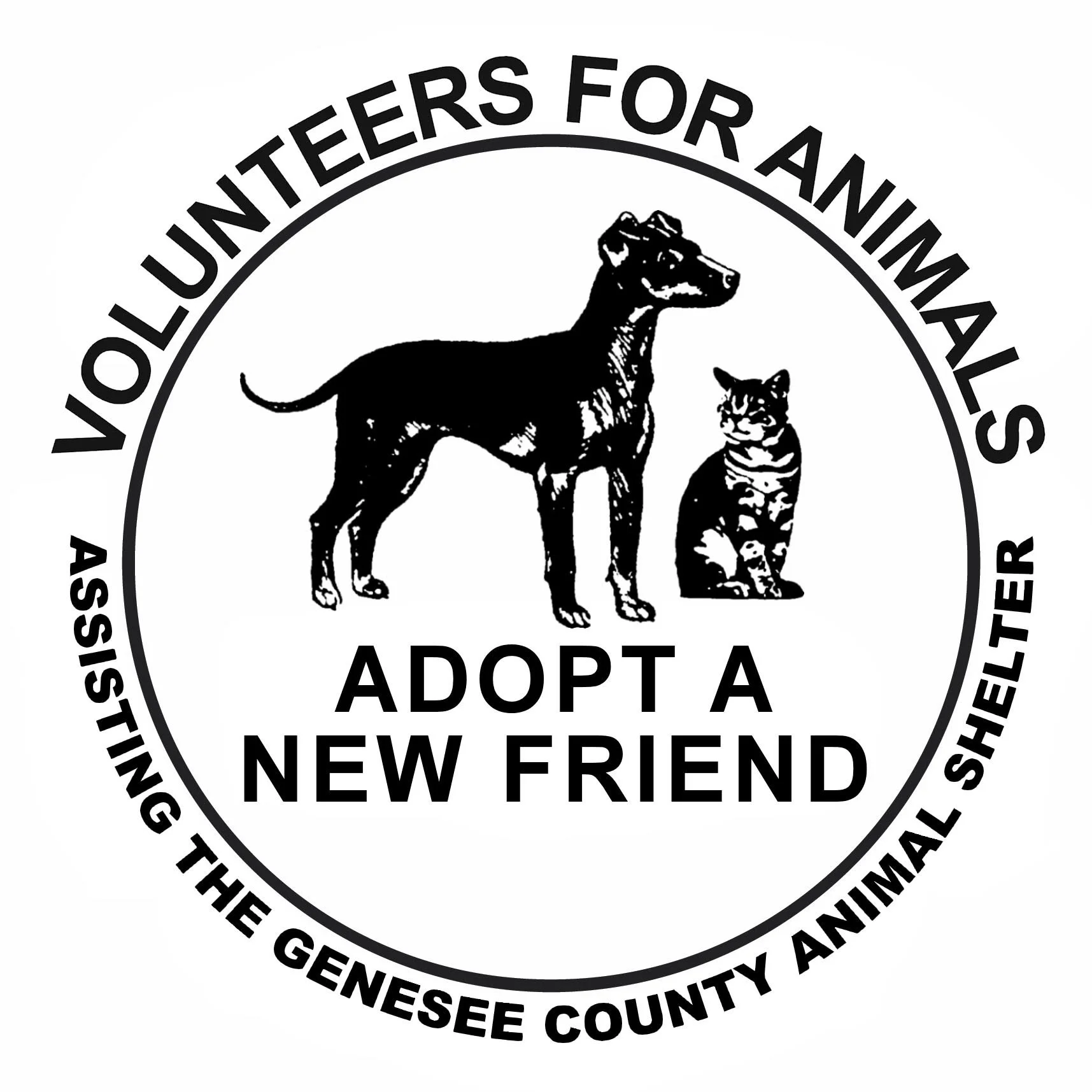 animal control adoptable dogs