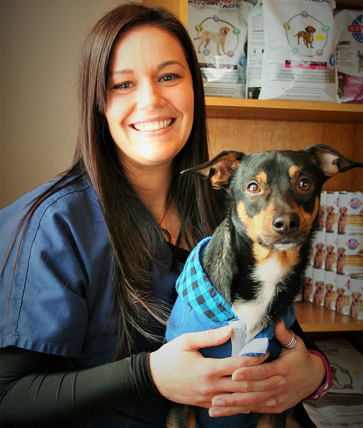 pet street norwich ny