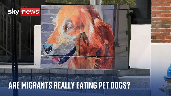 eating dogs and cats springfield