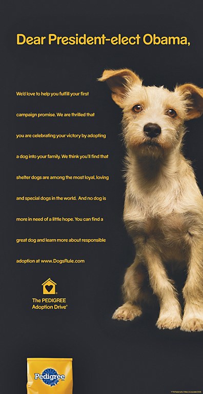 dog print advertisements