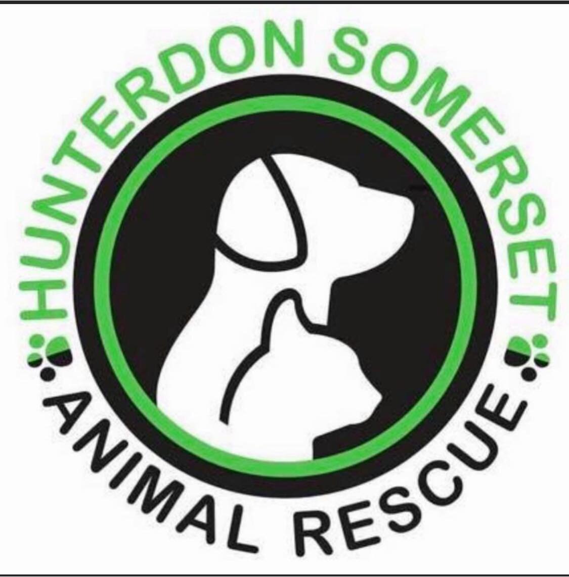 hunterdon animal shelter