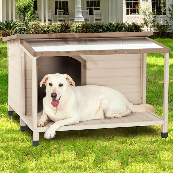 canine home