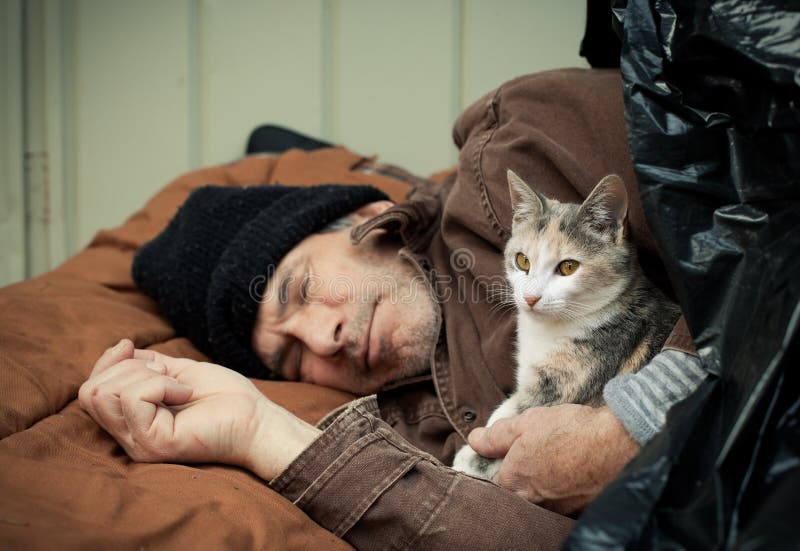 homeless with a cat