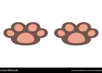 picture of a cat paw print