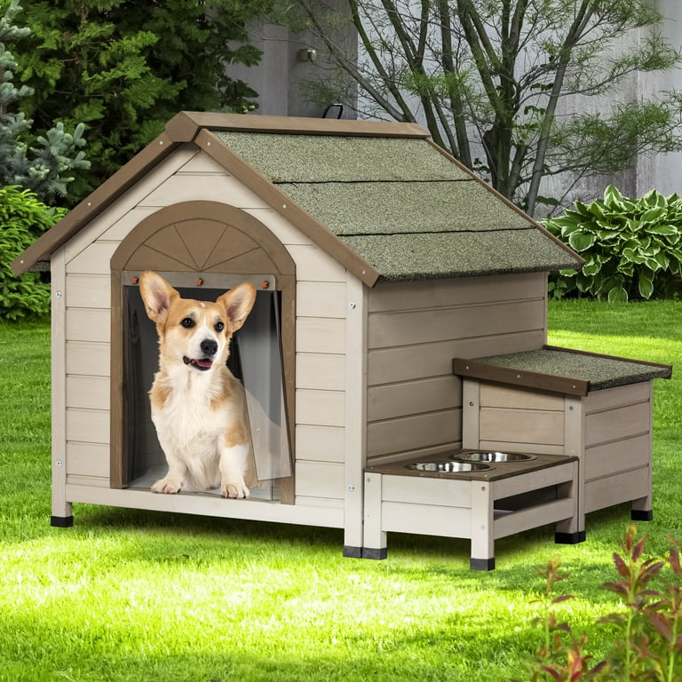homes for dogs