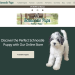 puppy for sale website