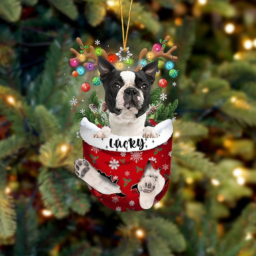 boston terrier christmas