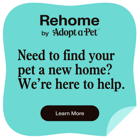 adopt a pet promo code