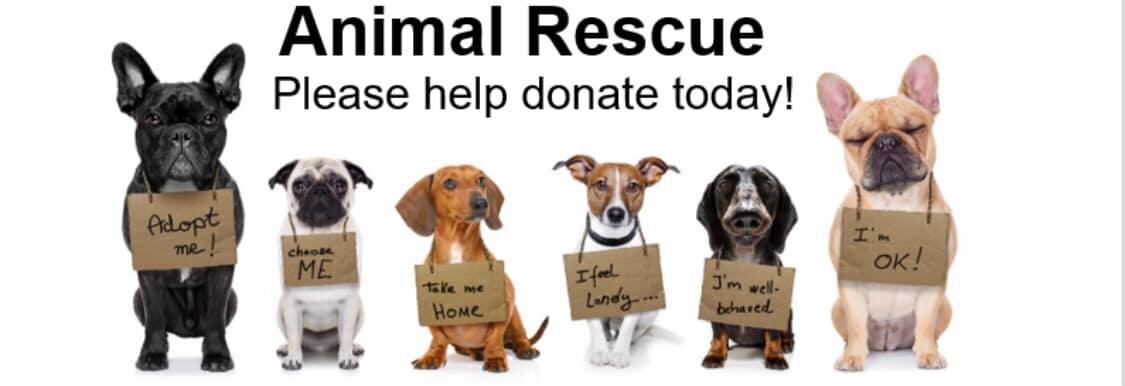 hunterdon animal shelter