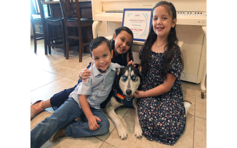 petsmart pet adoption near me