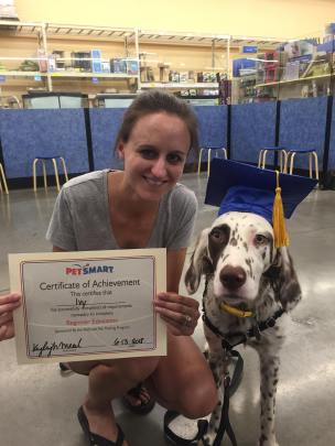 petsmart training dog