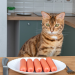 cat with sausage