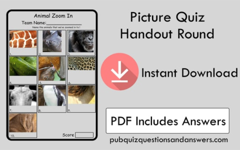 name the animal quiz