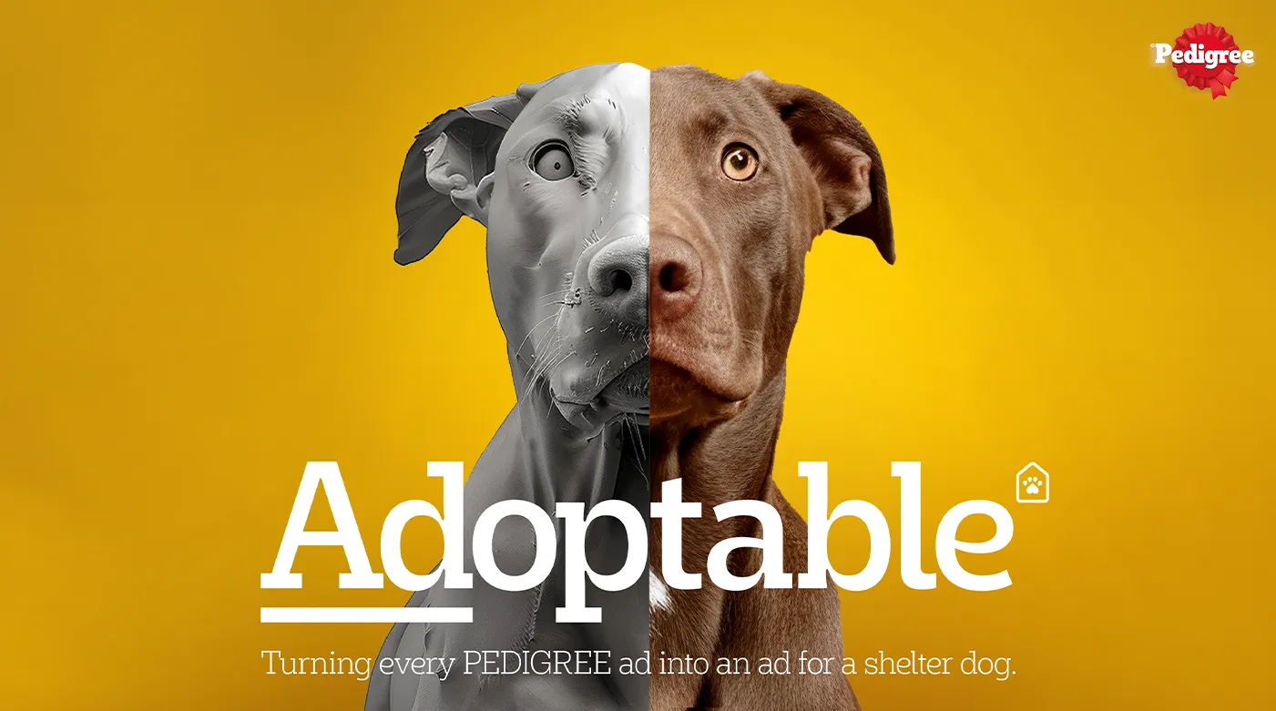 dog shelter ads