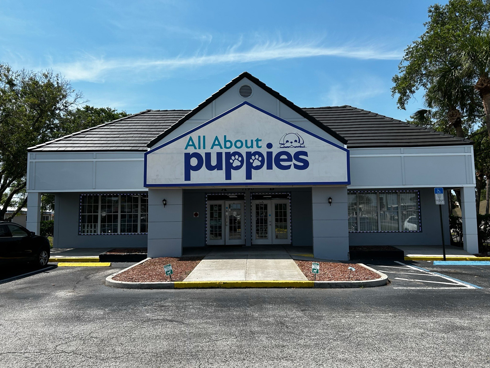 pet stores in florida that sell puppies