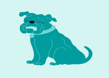 small dogs for adoption st louis