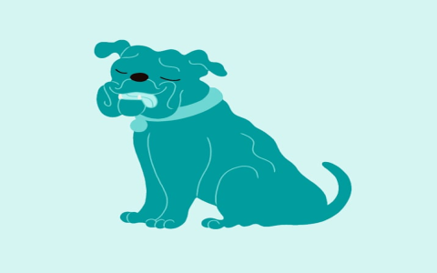 small dogs for adoption st louis