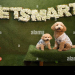 petsmart.com login