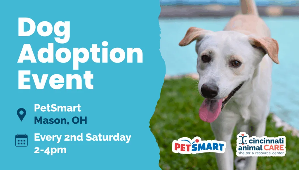 petsmart puppy adoption