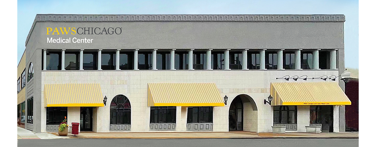 paws chicago adoption center