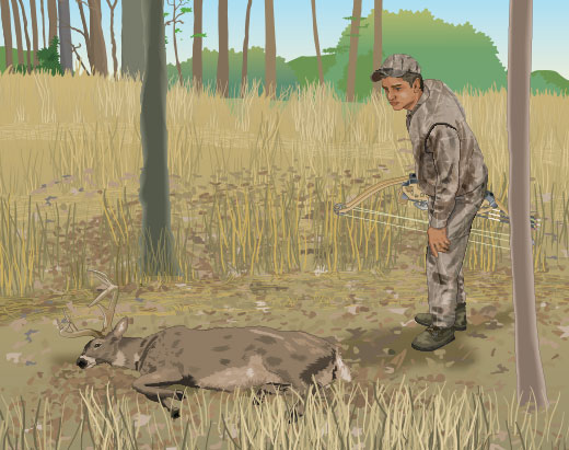 how does an arrow kill an animal