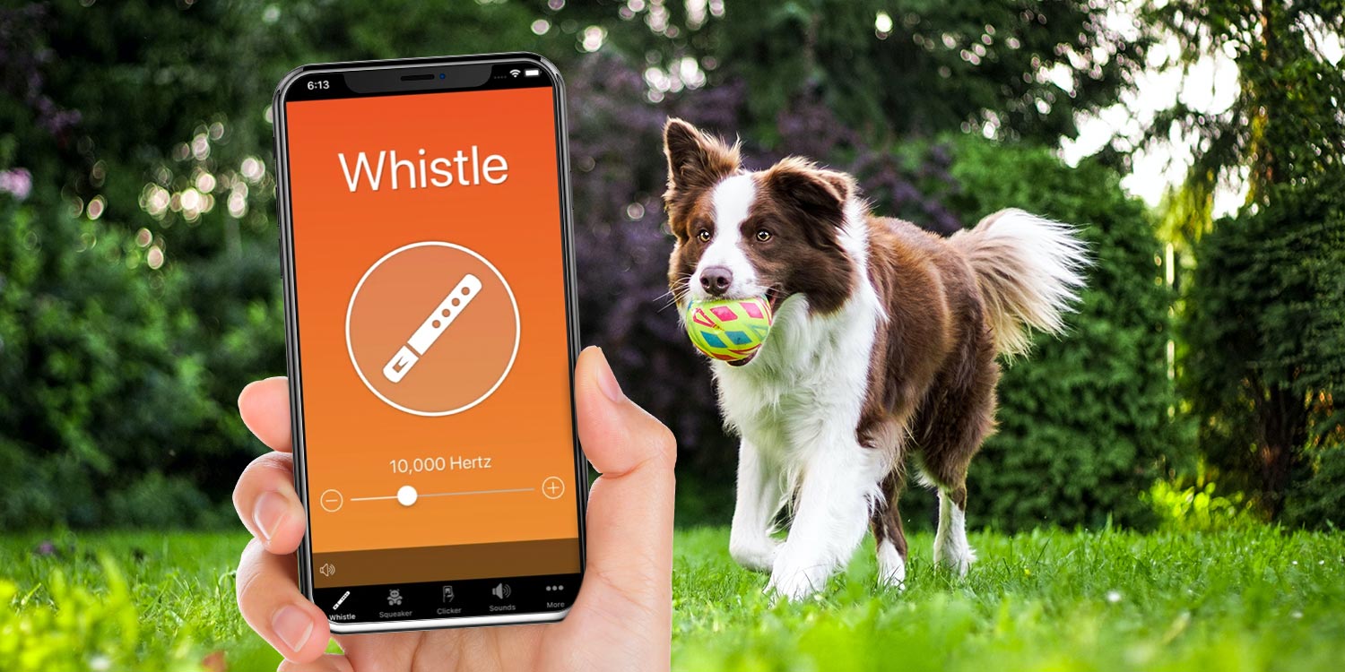 best free dog training apps