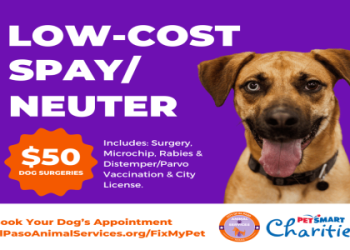 private animal shelters near me