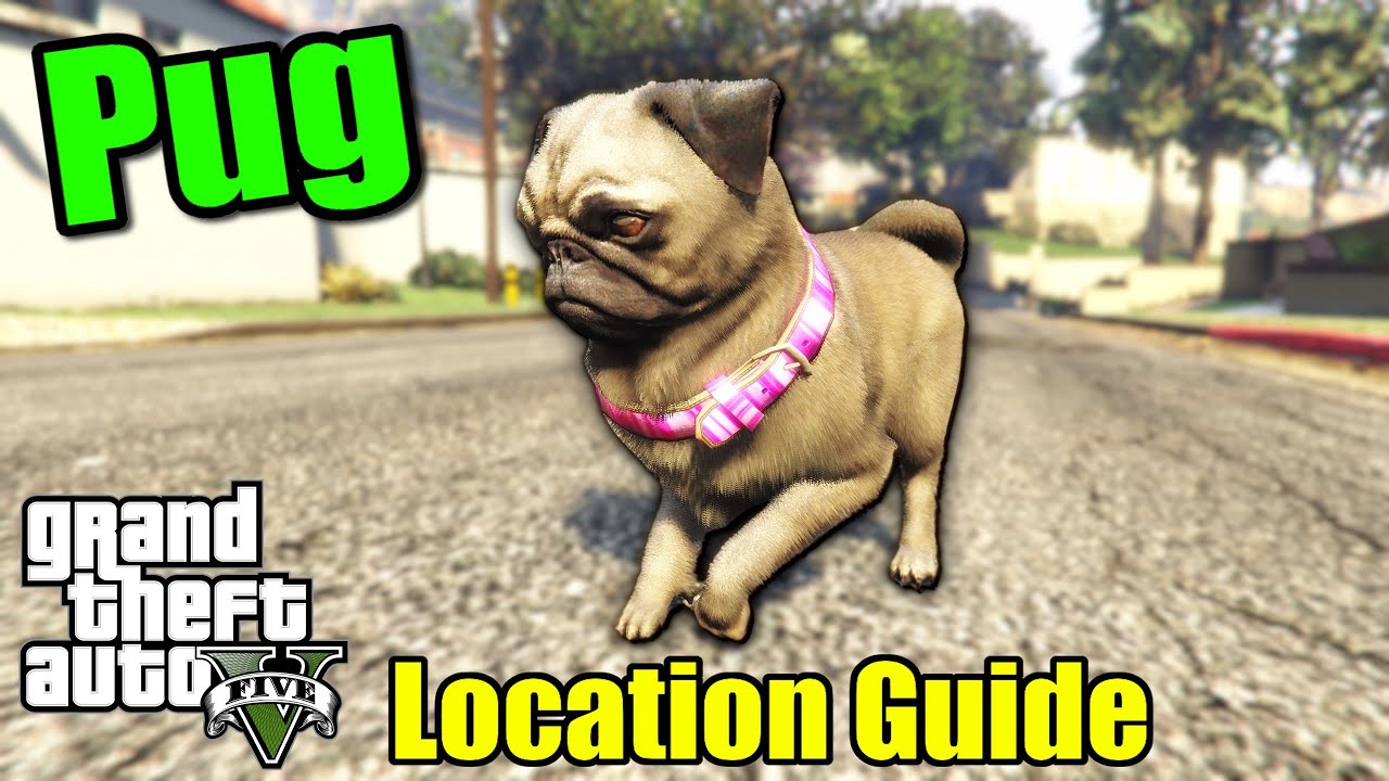 gta 5 pug location